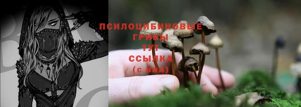 дмт Щёлкино