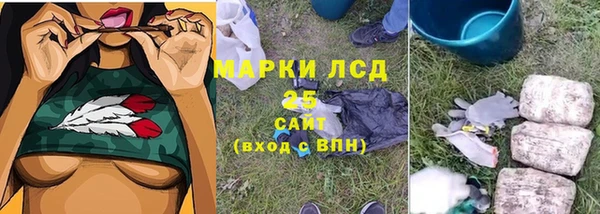 дмт Щёлкино