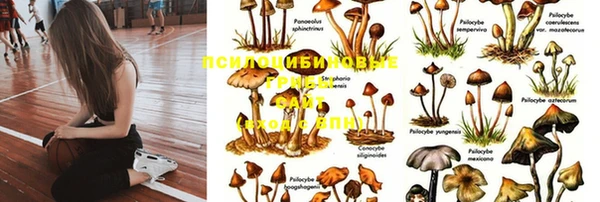 марки nbome Щигры