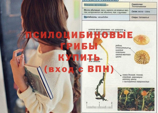 бошки Сыктывкар