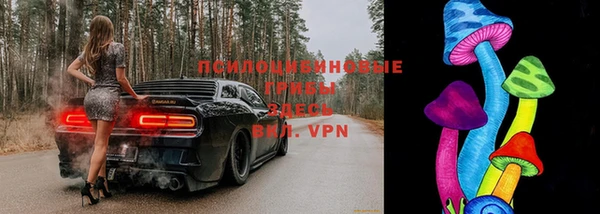 ПСИЛОЦИБИНОВЫЕ ГРИБЫ Нижнекамск