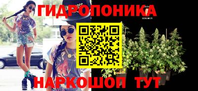 прущие крисы Балаково