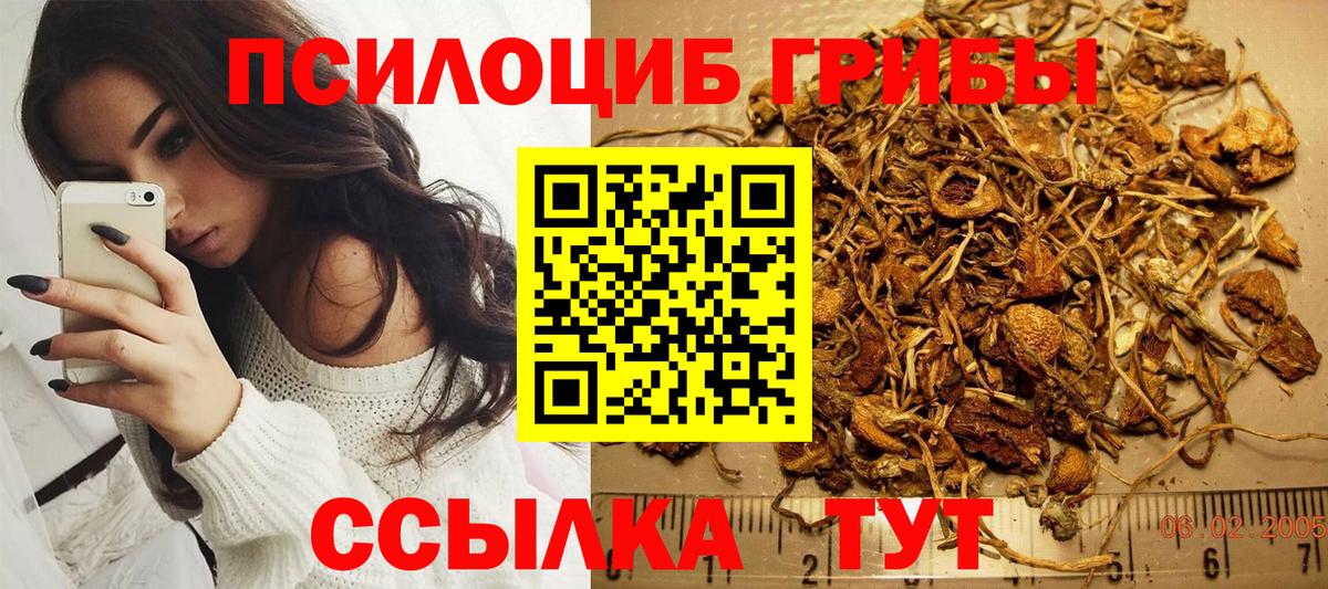 Псилоцибиновые грибы Psilocybine cubensis Белебей